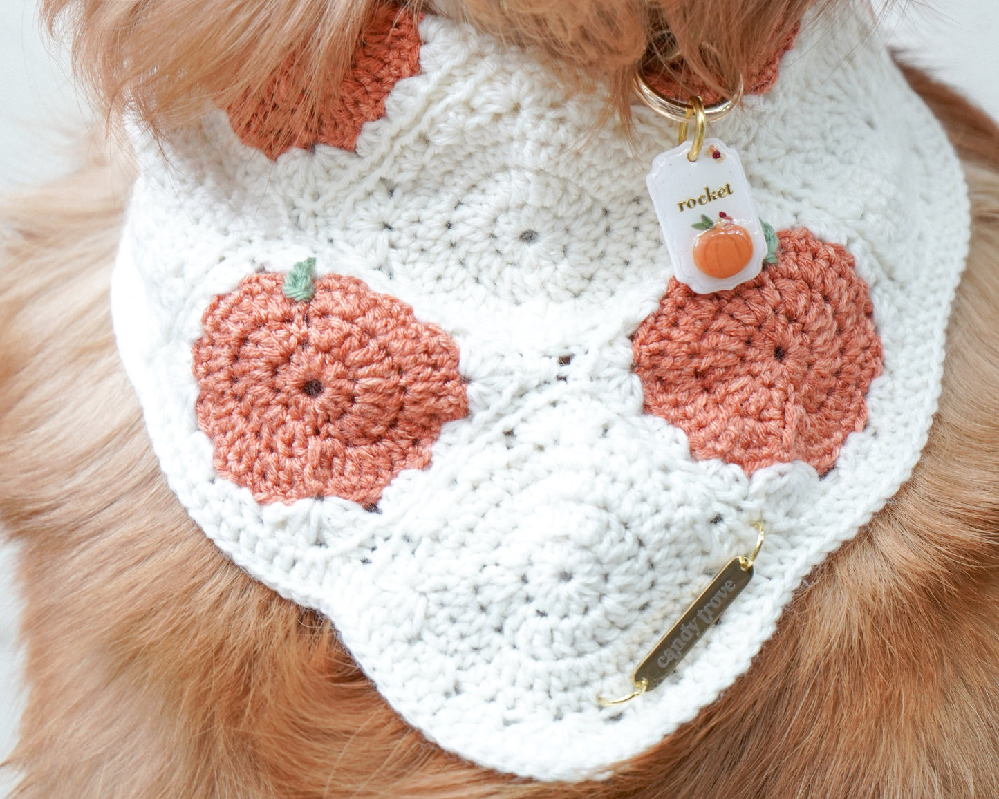 Pumpkin Patch Bandana