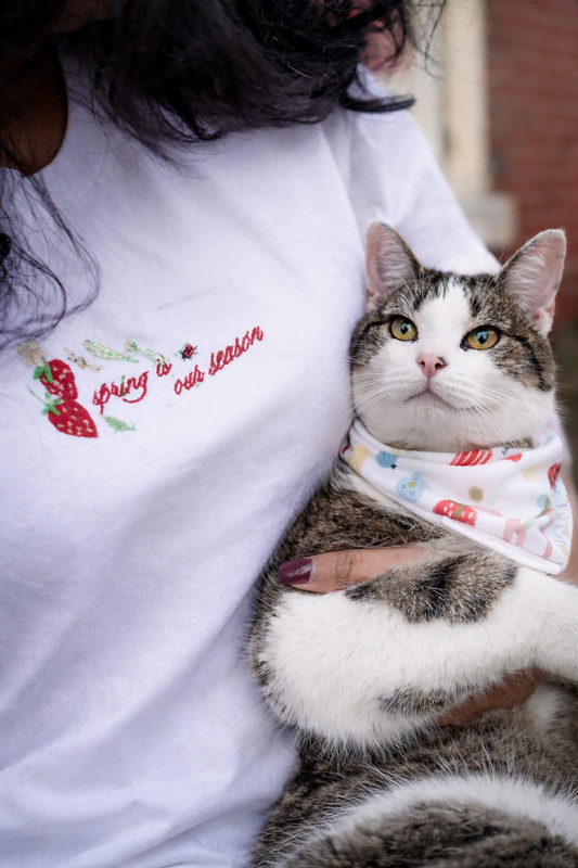 spring is our season