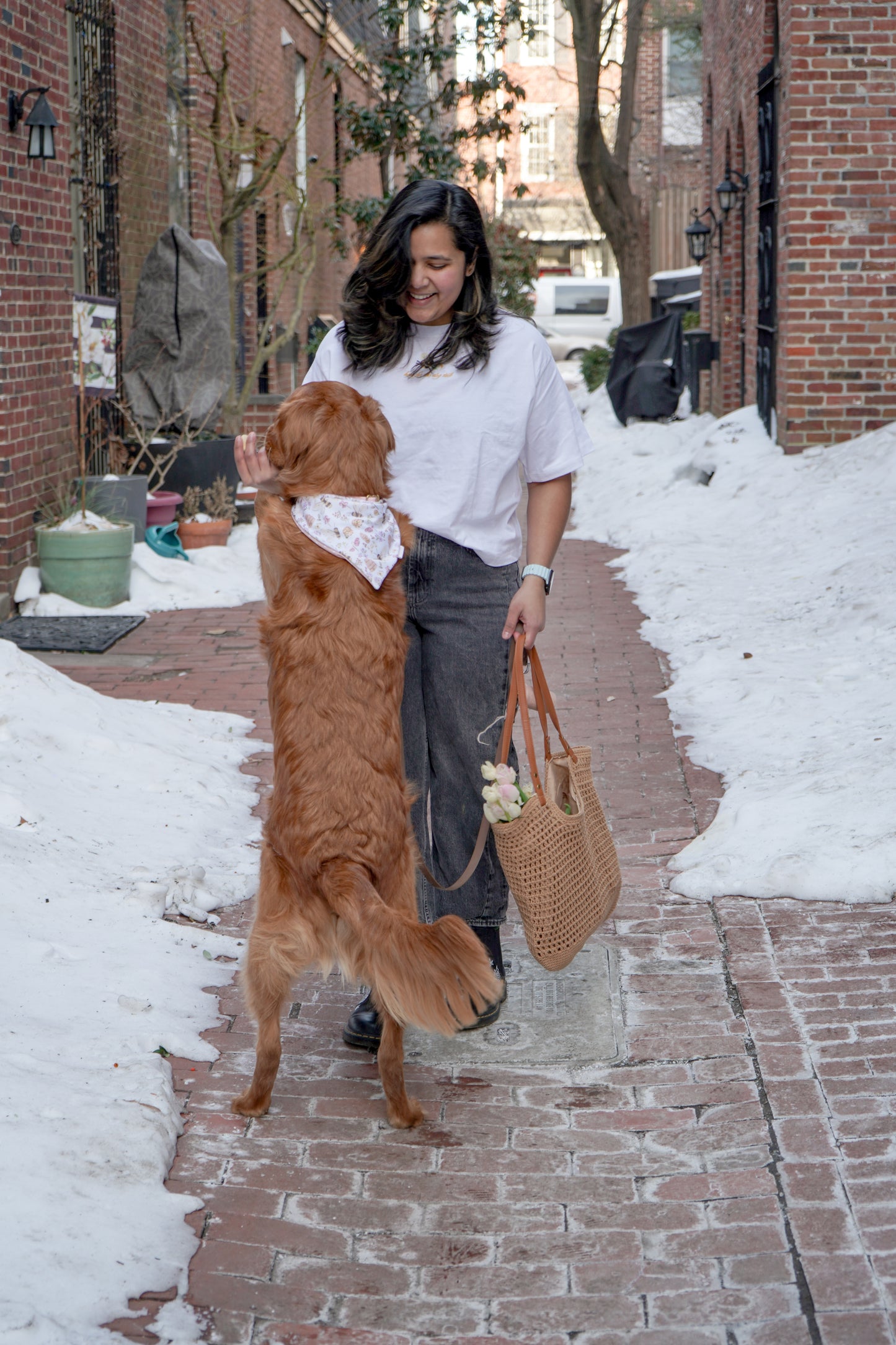 here for the dog talk