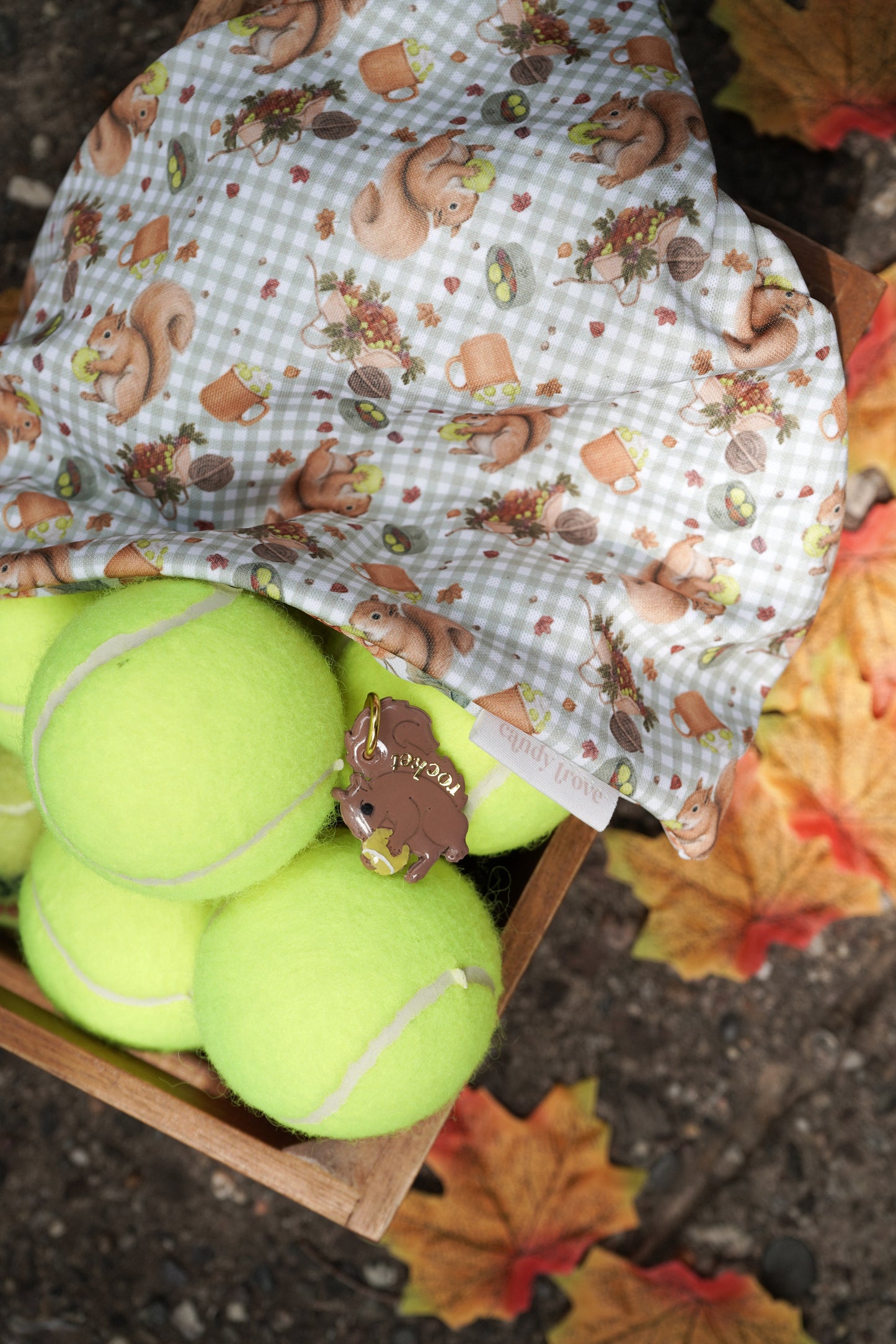 Fall Favorite