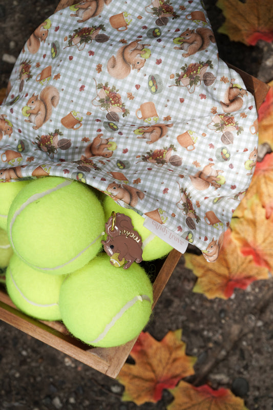 Fall Favorite