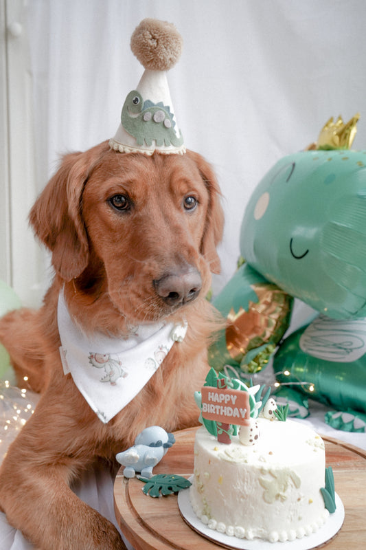 Birthday Boo Bandana