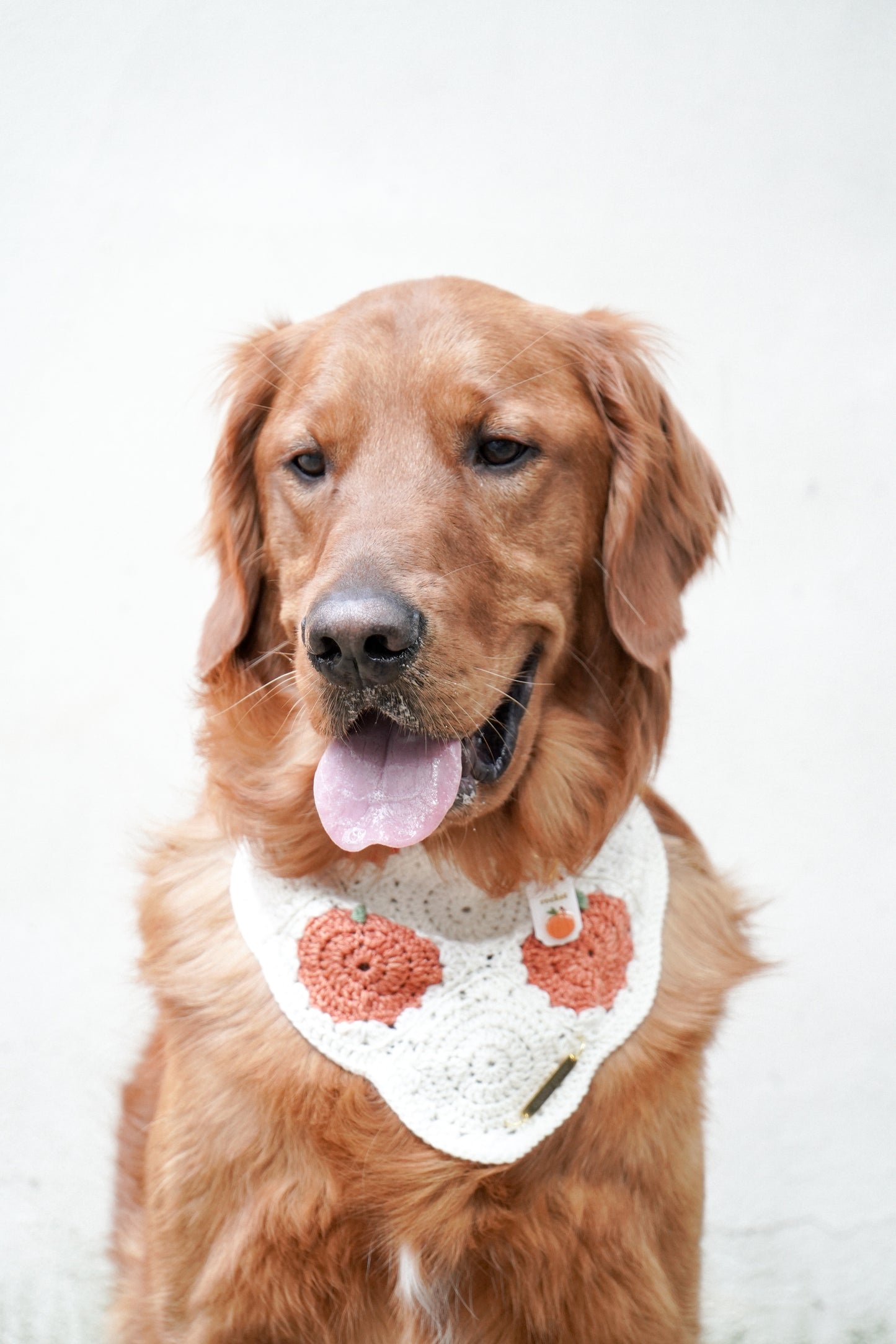 Pumpkin Patch Bandana