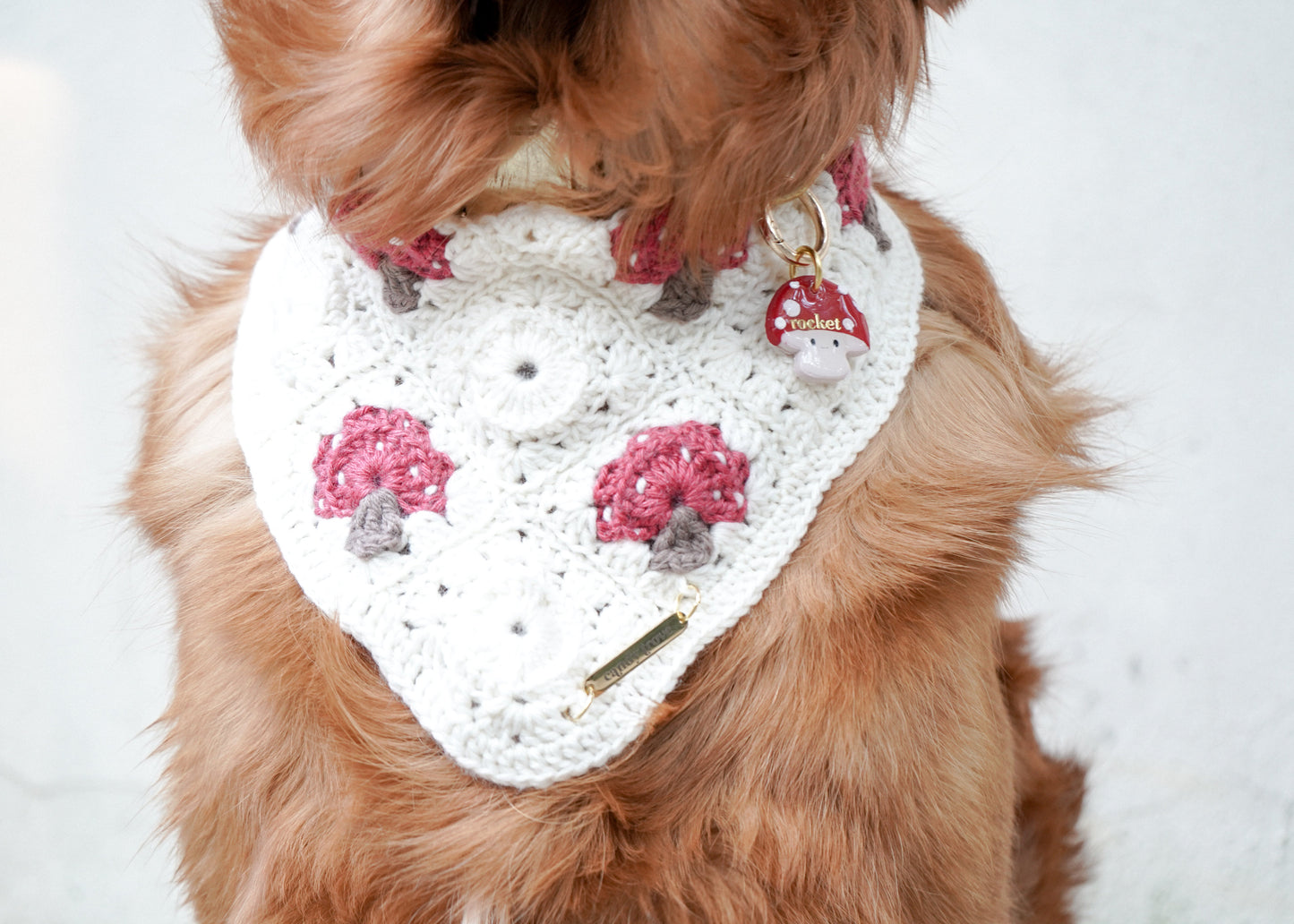 Cutie Mushroom Tag ONLY