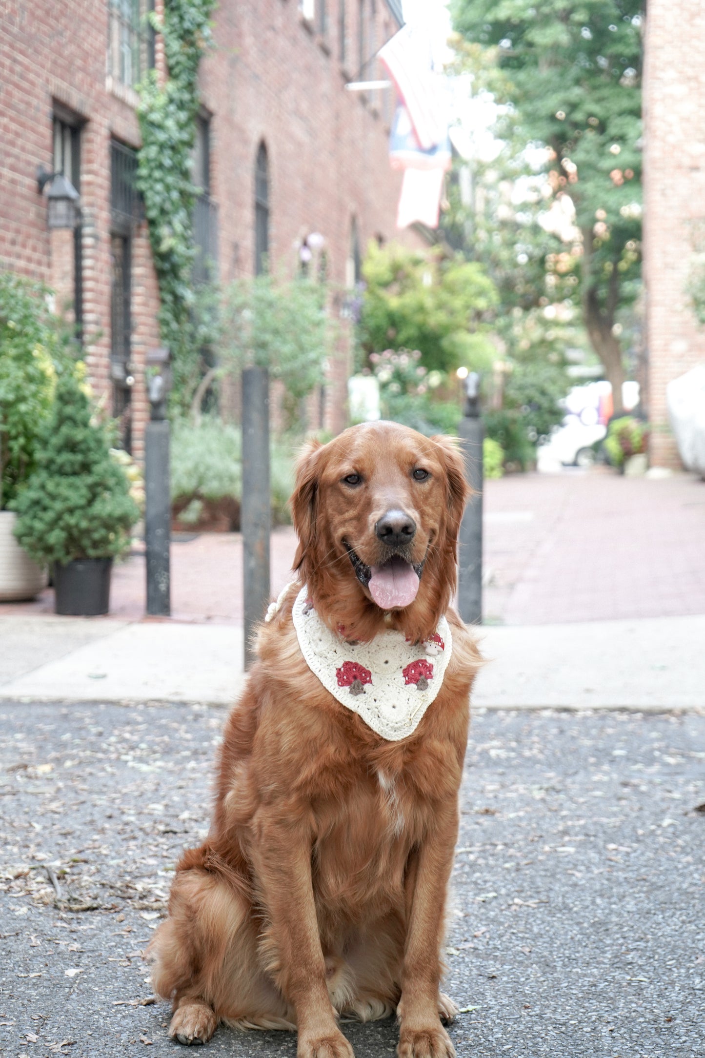 Cutie Mushroom Tag ONLY