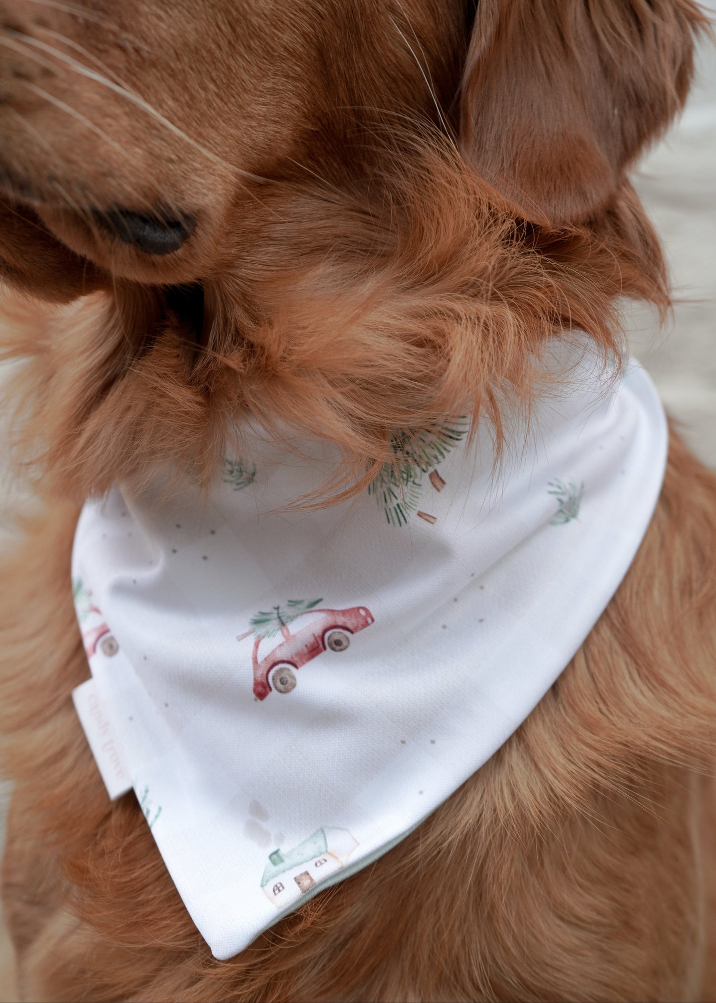 Christmas Tree Pickup