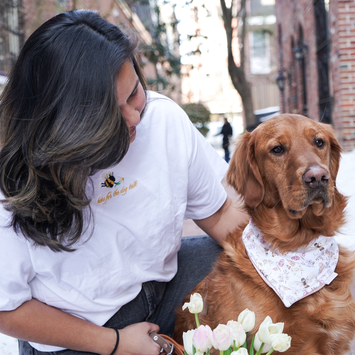 here for the dog talk