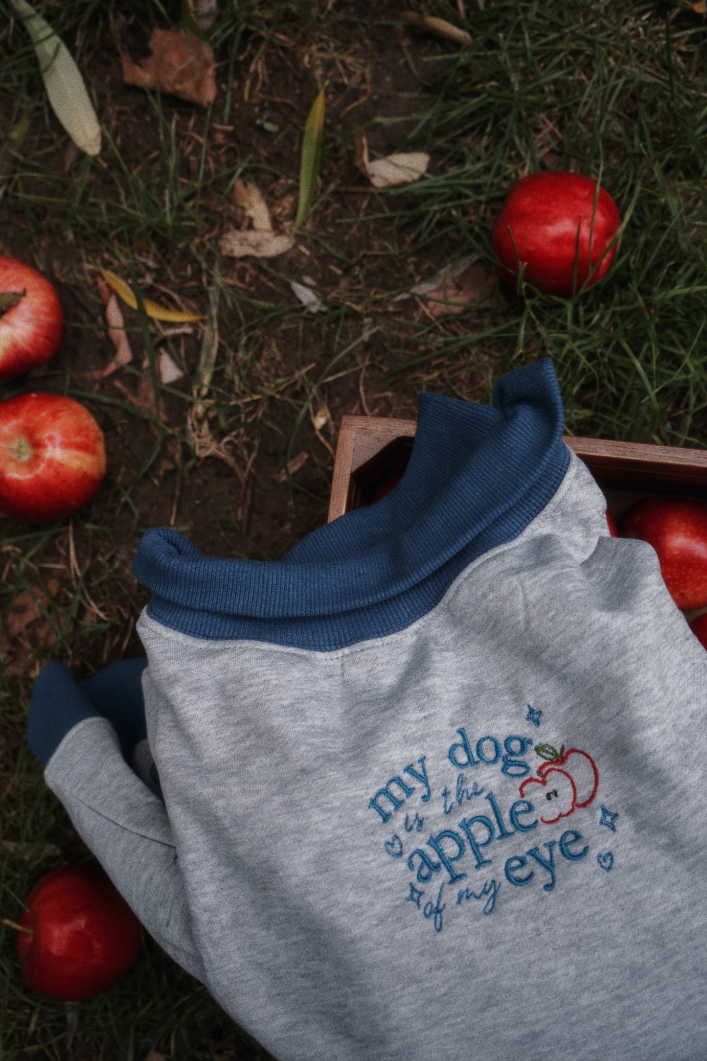 Apple of my Eye Sweatshirt