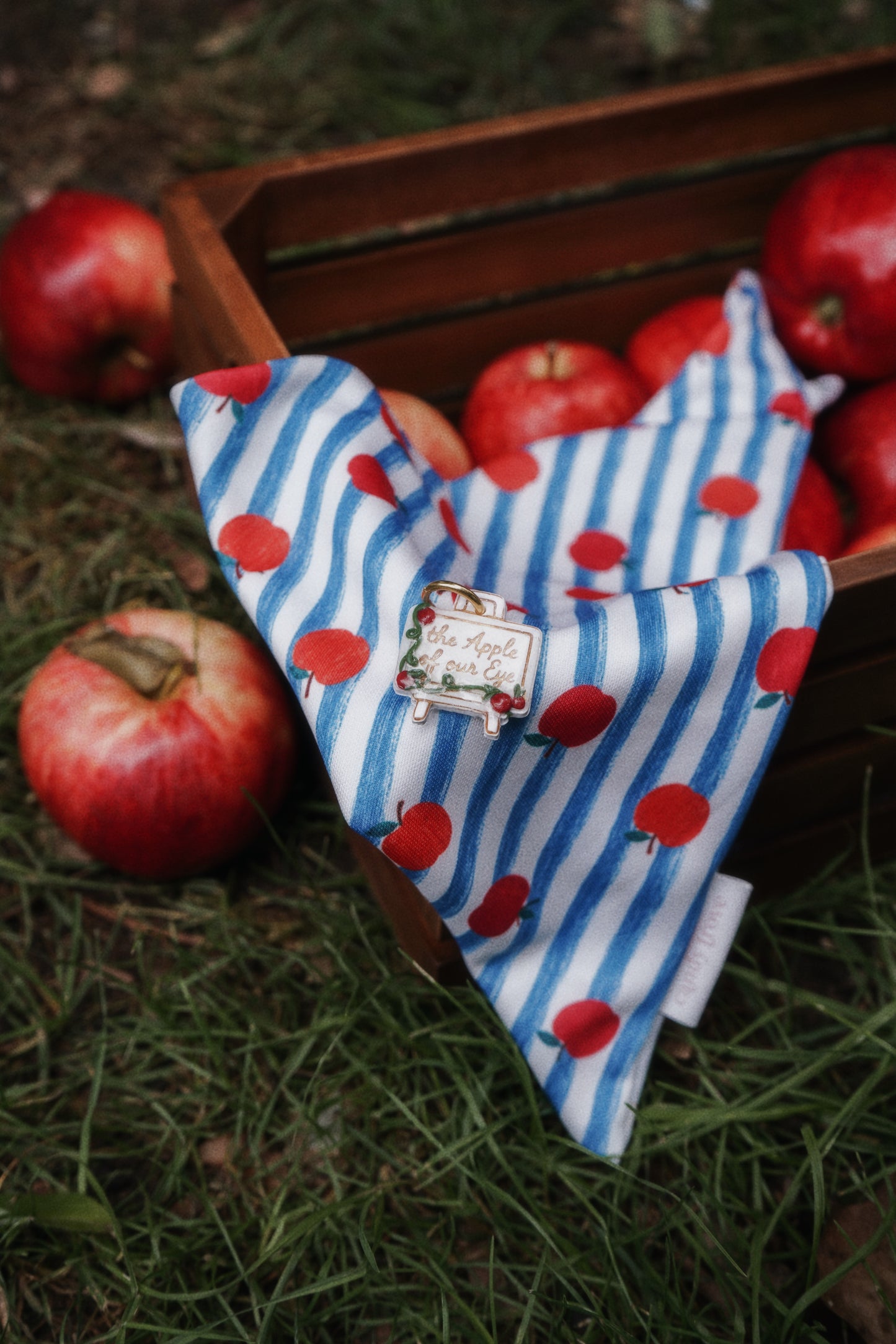 Meet me at the Orchard